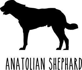 Dog Svg Bundle, Dog Cut Files, Dog Mom Svg, Dog Lover Svg,Dog Quote Svg, Dog Saying, Dog Design, Pet Svg, Pet Dog Svg, Dog Clipart