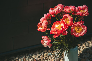 A bouquet of pink peonies, vibrant and full, are elegantly housed in a vase, bathed in natural...