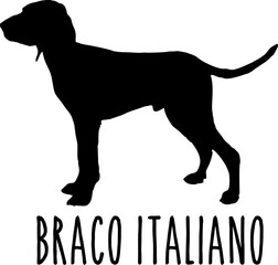 Dog Svg Bundle, Dog Cut Files, Dog Mom Svg, Dog Lover Svg,Dog Quote Svg, Dog Saying, Dog Design, Pet Svg, Pet Dog Svg, Dog Clipart