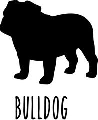 Obraz premium Dog Svg Bundle, Dog Cut Files, Dog Mom Svg, Dog Lover Svg,Dog Quote Svg, Dog Saying, Dog Design, Pet Svg, Pet Dog Svg, Dog Clipart