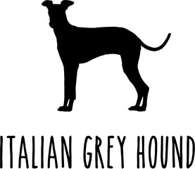 Dog Svg Bundle, Dog Cut Files, Dog Mom Svg, Dog Lover Svg,Dog Quote Svg, Dog Saying, Dog Design, Pet Svg, Pet Dog Svg, Dog Clipart