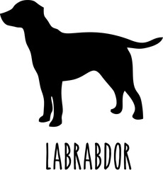 Dog Svg Bundle, Dog Cut Files, Dog Mom Svg, Dog Lover Svg,Dog Quote Svg, Dog Saying, Dog Design, Pet Svg, Pet Dog Svg, Dog Clipart