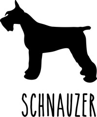 Dog Svg Bundle, Dog Cut Files, Dog Mom Svg, Dog Lover Svg,Dog Quote Svg, Dog Saying, Dog Design, Pet Svg, Pet Dog Svg, Dog Clipart