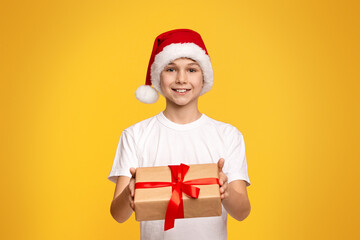 Cute teenager in Santa hat offering gift box on camera