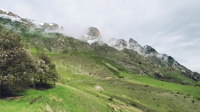 A trail in the green valley of the Karmadon gorge overlooking the Kolka glacier. The Main Caucasian Ridge. Summer view of the Karmadon gorge. A mountain valley after the collapse of rocks and ice. 4К