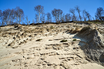 sandy cliff on the dunes by the beach on the Baltic Sea on the island of Wolin