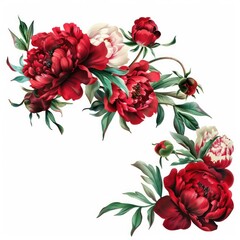 red peony flowers border with free space on a white background
