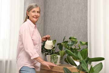 Happy housewife watering green houseplants at home