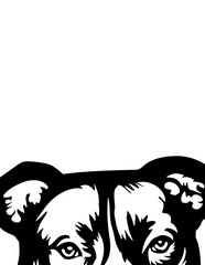 Dog Svg , Dog Cut Files, Dog Mom Svg, Dog Lover Svg,Dog Quote Svg, Dog Saying, Dog Design, Pet Svg, Pet Dog Svg, Dog Clipart