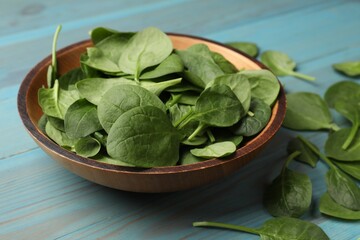 Fresh spinach leaves in bowl on light blue wooden table, closeup