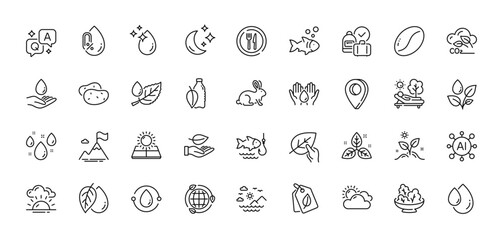 Fishing, Leaf and Rainy weather line icons pack. AI, Question and Answer, Map pin icons. Coffee beans, Oil drop, Mineral oil web icon. Salad, Eco energy, Fish pictogram. Vector