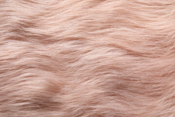 Texture of faux fur as background, top view