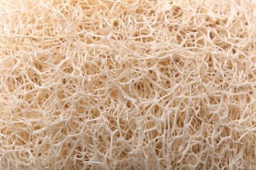 Loofah sponge as background, closeup. Personal hygiene product