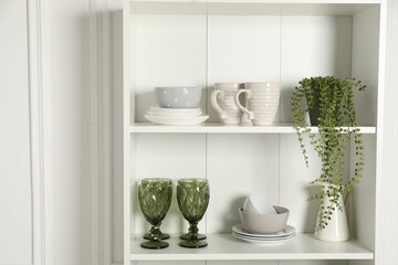 Different clean dishware and houseplant on shelves in cabinet indoors