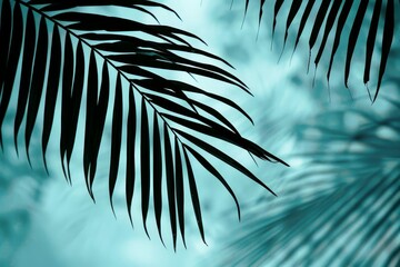 tropical palm leaf silhouette exotic nature element minimalist botanical stock photo