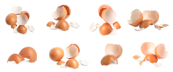 Fototapeta premium Eggs and cracked shells on white background, set