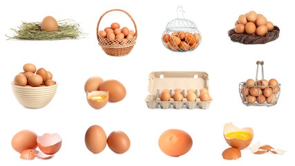 Set of many eggs on white background