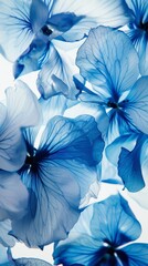 Close-up of translucent blue flowers with delicate textures