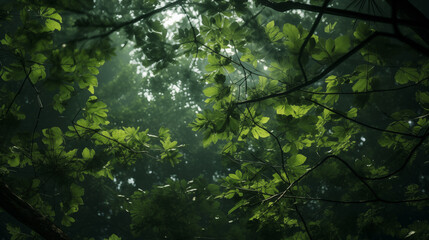 Fototapeta premium Digital Forest Canopy with Dynamic Light Adaptation