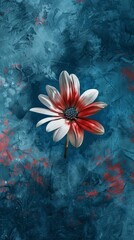 Red and white flower on textured blue background