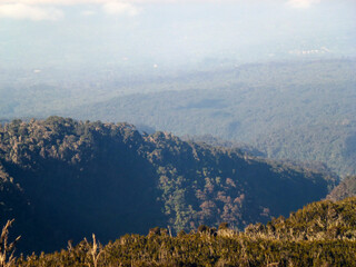 View from a drone on the gentle slopes of the mountain overgrown with dense forest and grass in...