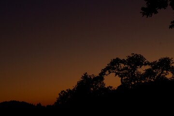Fototapeta na wymiar sunset in the nature