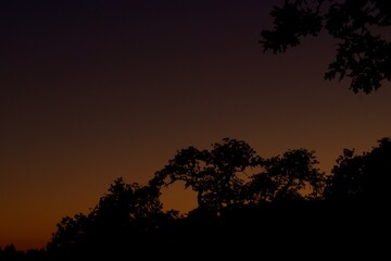 Sunset in the circle