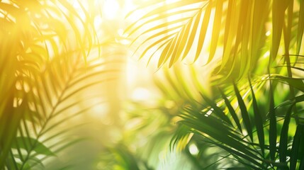 Obraz premium A lush green jungle with a bright sun shining through the leaves. Concept of peace and tranquility, as well as the beauty of nature