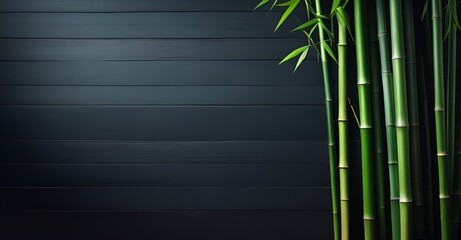 Bamboo branches on dark wooden background