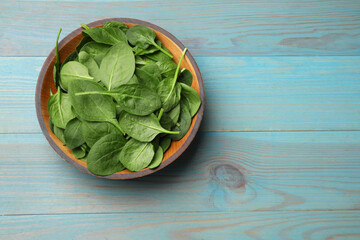 Fresh spinach leaves in bowl on light blue wooden table, top view. Space for text