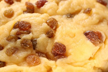 Homemade dough with raisins as background, closeup