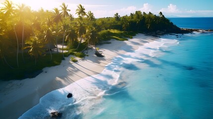 Beautiful panoramic aerial view of a tropical beach with palm trees at sunset.