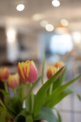 Obraz premium tulipany w pomieszczeniu