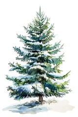 Fototapeta premium A serene watercolor painting of a lone pine tree covered in snow. Ideal for winter-themed designs