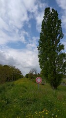 Panneaux de Signalisation Urbaine à Jargeau, Loiret