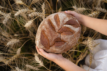 Little beautiful blonde girl with rye bread in a field of ears of rye