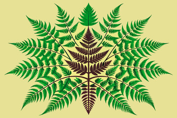 The fractal pattern of a fern leaf, with repeating shapes and self-similar structures at different scales
