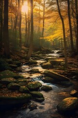Stream in the autumn forest. Panoramic view of a stream in the forest.