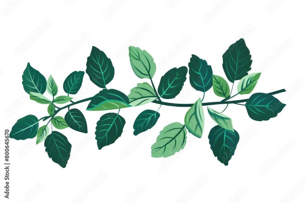 Poster Fresh green leaves branch on a clean white backdrop, suitable for various design projects