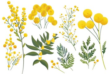 Bright yellow flowers arranged on a clean white background, perfect for various design projects