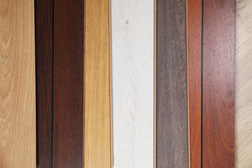 Different samples of wooden flooring as background, flat lay