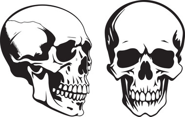 Skull Vector Set