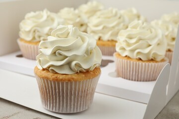 Tasty cupcakes with vanilla cream in box, closeup