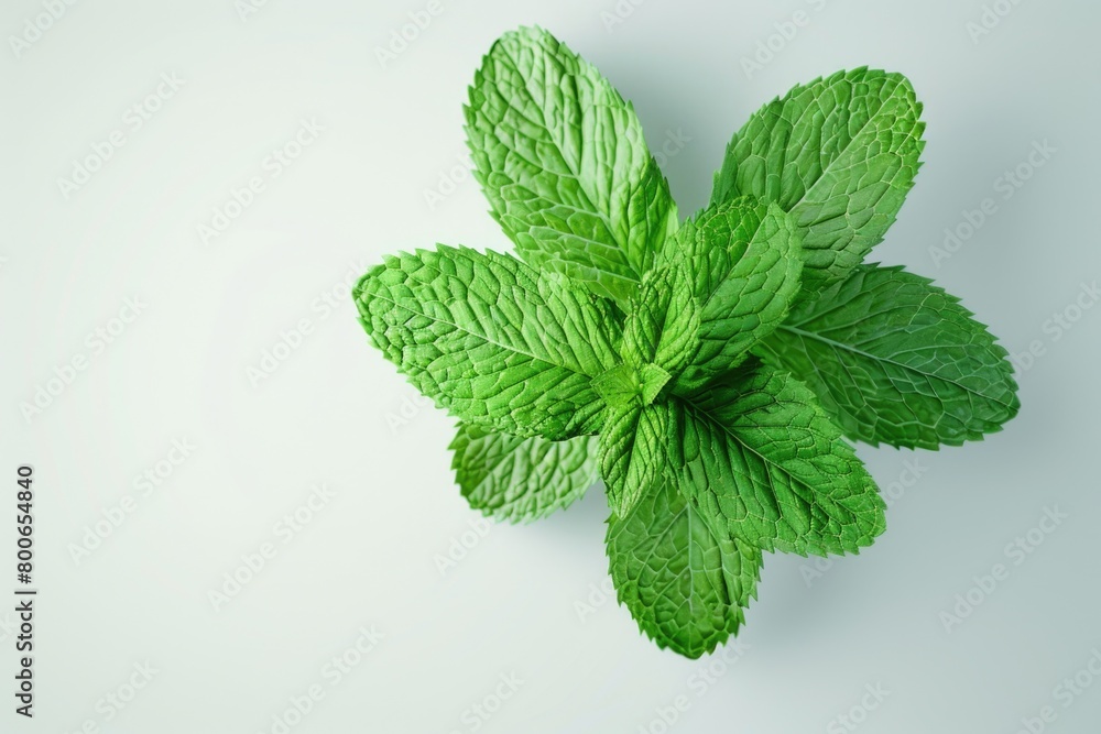 Poster a detailed close up of a green leaf on a white surface. ideal for nature and environmental concepts