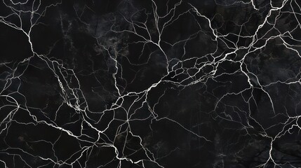 veins growing like roots or lightning in white color on a plain solid black background 