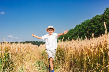 Happy boy with arms outstretched in wheat field on sunny day. Childhood, freedom, summer concept