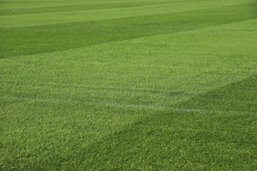 Natural grass of a soccer stadium or football stadium. Green stadium grass.  Close-up of court grass texture with natural lawn. Sports background with copy space.