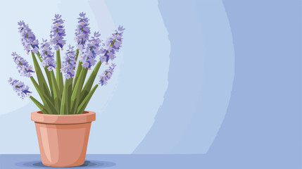 Pot with blooming grape hyacinth plant Muscari on blue background