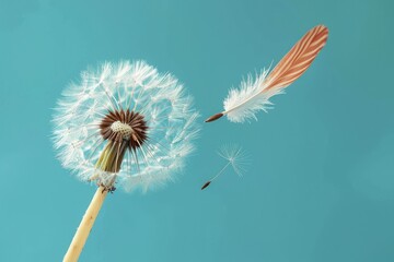Obraz premium A dandelion with a feather on top of it