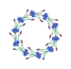 Cornflowers blue flowers wreath frame in watercolor illustration. Botanical composition element isolated from background. Suitable for cosmetics, aromatherapy, medicine, treatment, care, design,